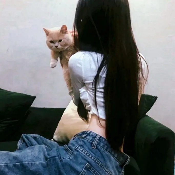 夜莺